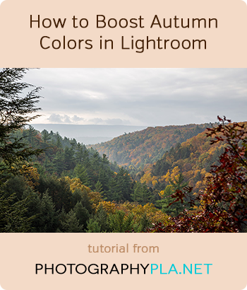 How to Boost Autumn Colors in Lightroom