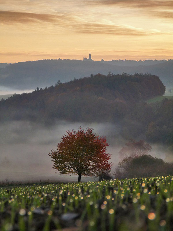 An Autumn Morning by Jaro Vosahlo