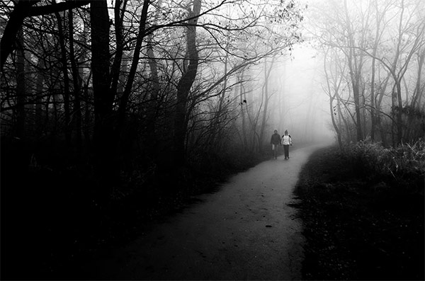 Stunning Photos of Fog and Mist | Photographypla.net