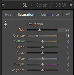 Introduction to the HSL Settings in Lightroom