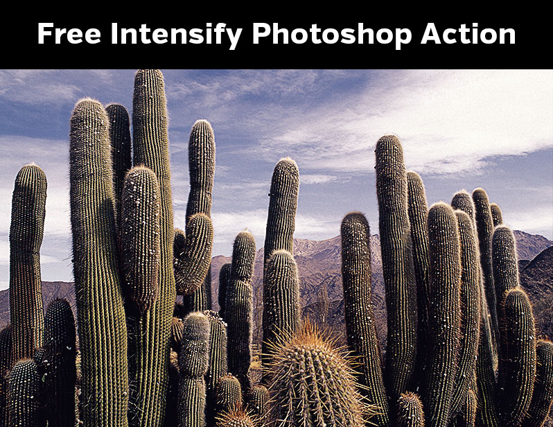 Intensify Photoshop Action