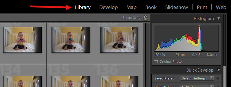 Photo Editing in Lightroom 101 - Intro to the Library Module