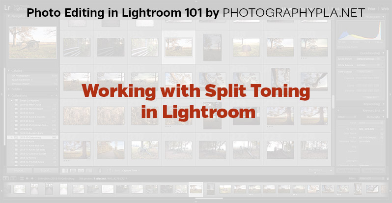 Working with Split Toning in Lightroom