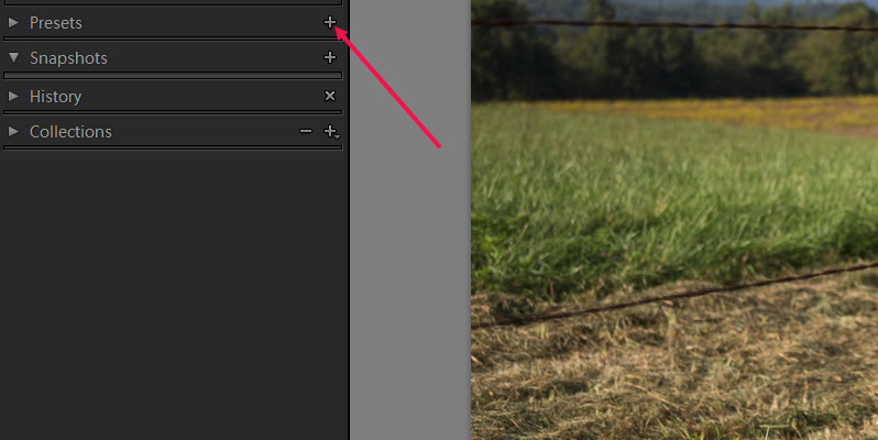 Creating and Using Lightroom Presets