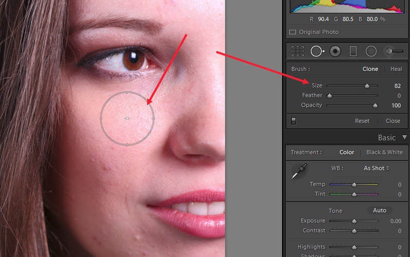 How to Use the Spot Removal Tool in Lightroom
