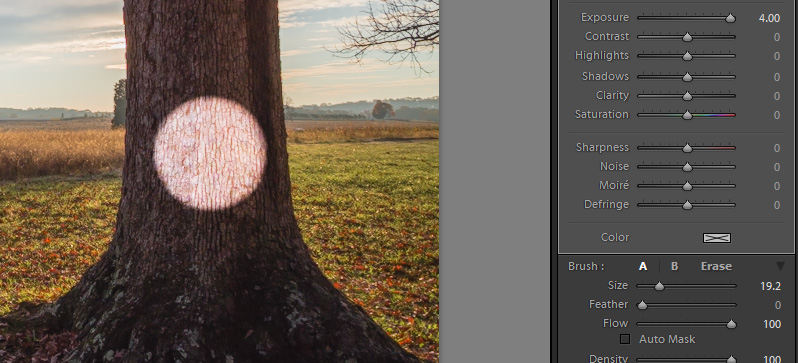 How to Use the Adjustment Brush in Lightroom