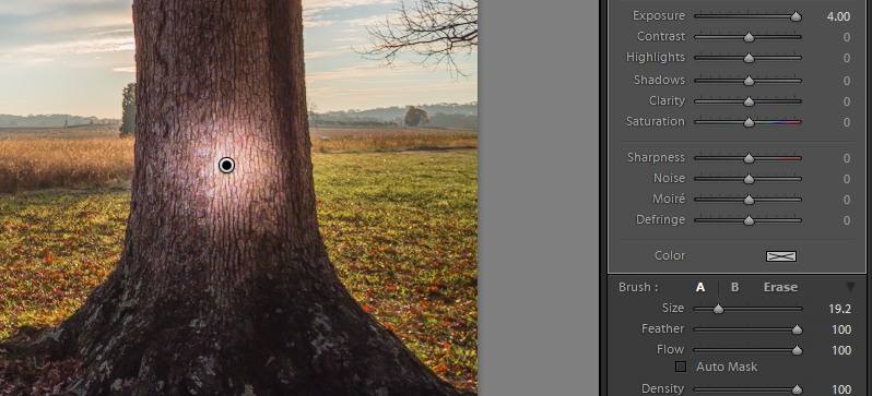 How to Use the Adjustment Brush in Lightroom