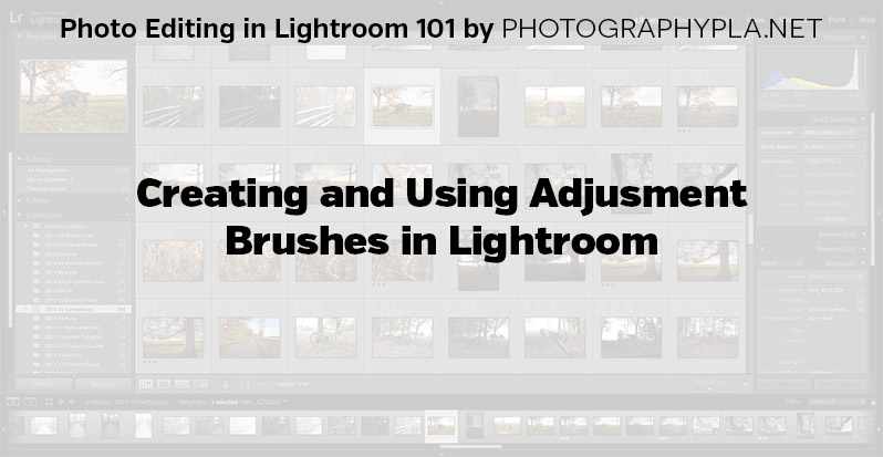 Creating and Using Adjusment Brushes in Lightroom