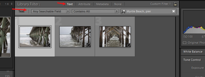 Finding Your Photos with Lightroom's Filters