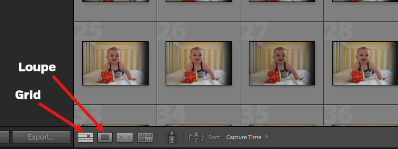 Photo Editing in Lightroom 101 - Intro to the Library Module