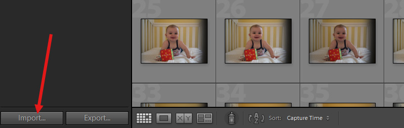 How to Import and Export Photos in Lightroom