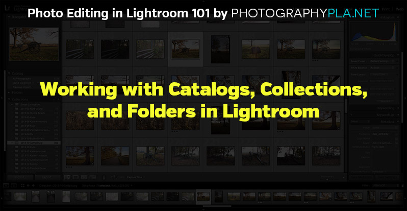 Working with Catalogs, Collections, and Folders in Lightroom