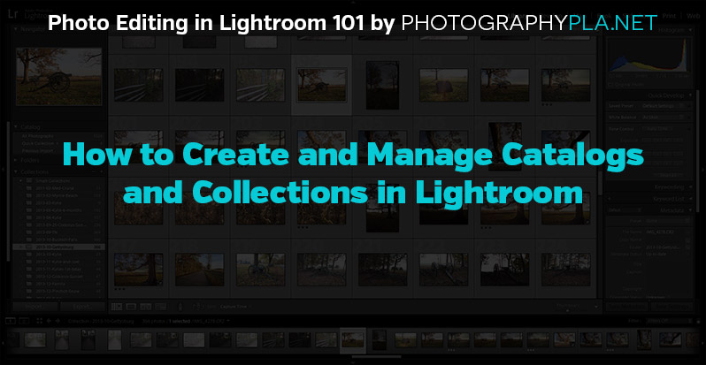 How to Create and Manage Catalogs and Collections in Lightroom