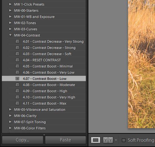 How to Create Your Own Lightroom Presets Using the Master Workflow System