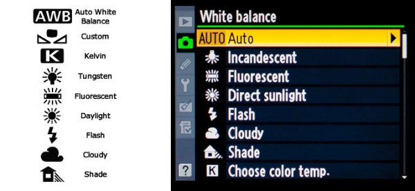 White Balance: What is it, How to Use it
