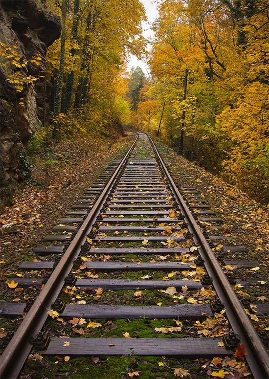 21 Beautiful Railroad Track Photos
