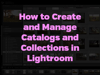 How to Create and Manage Catalogs and Collections in Lightroom