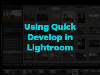 Using Quick Develop in Lightroom
