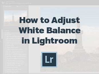 How to Adjust White Balance in Lightroom